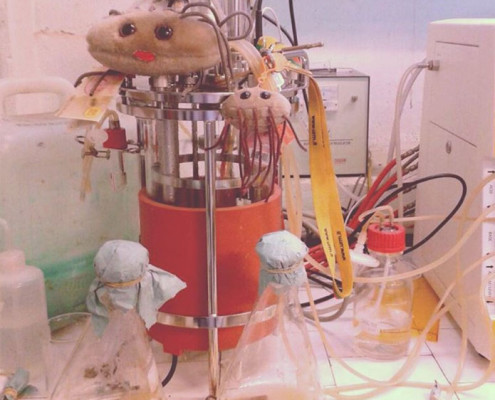 Biotransformacion con en Bioreactor (Foto de María Agustina Vila)